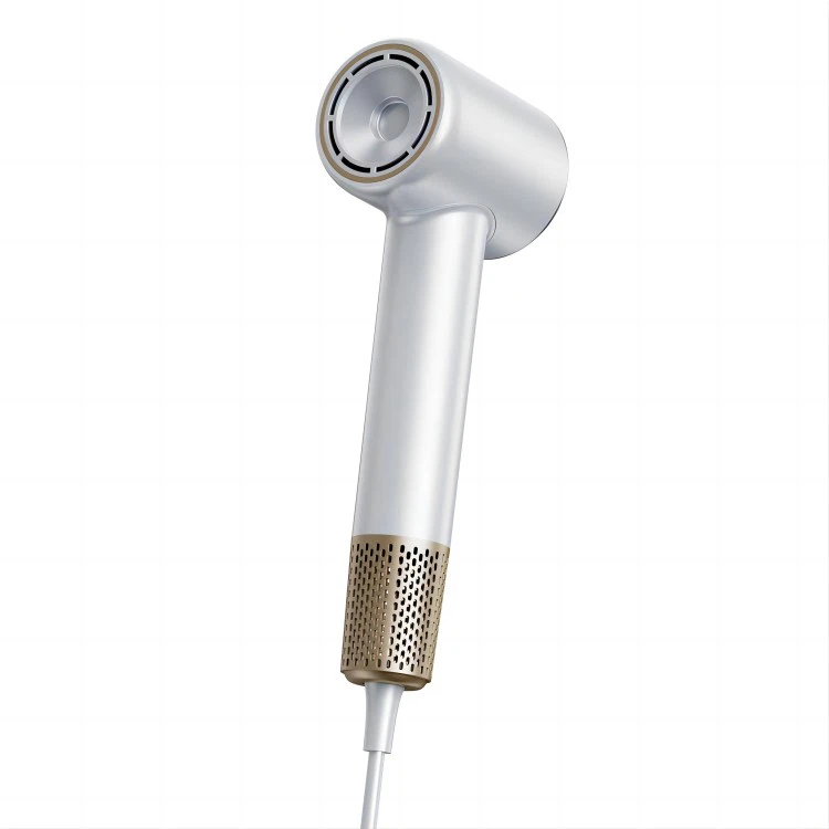 Profesionálny prispôsobený sušič vlasov